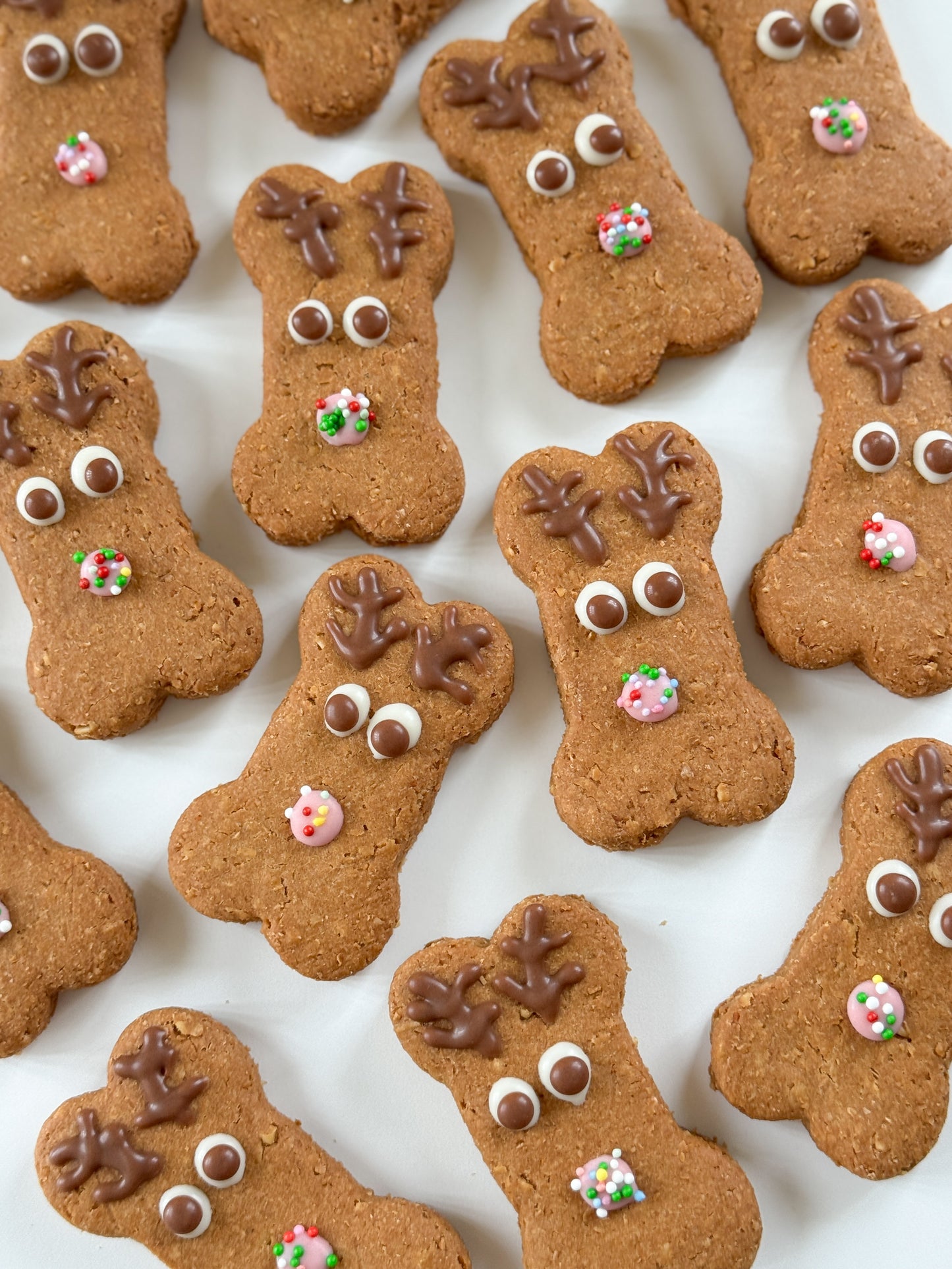 CHRISTMAS REINDEER