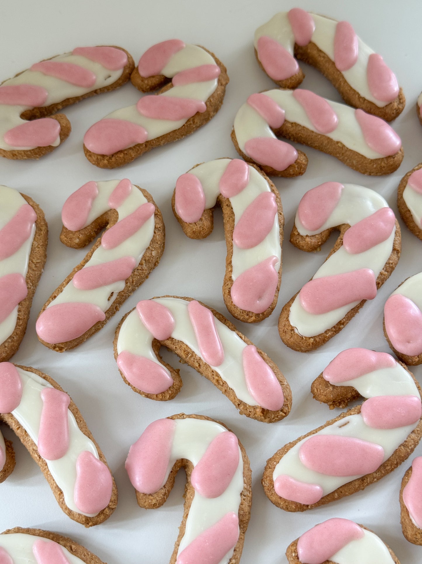 CHRISTMAS CANDY CANE